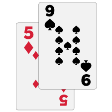 5 and 9 Playing Card